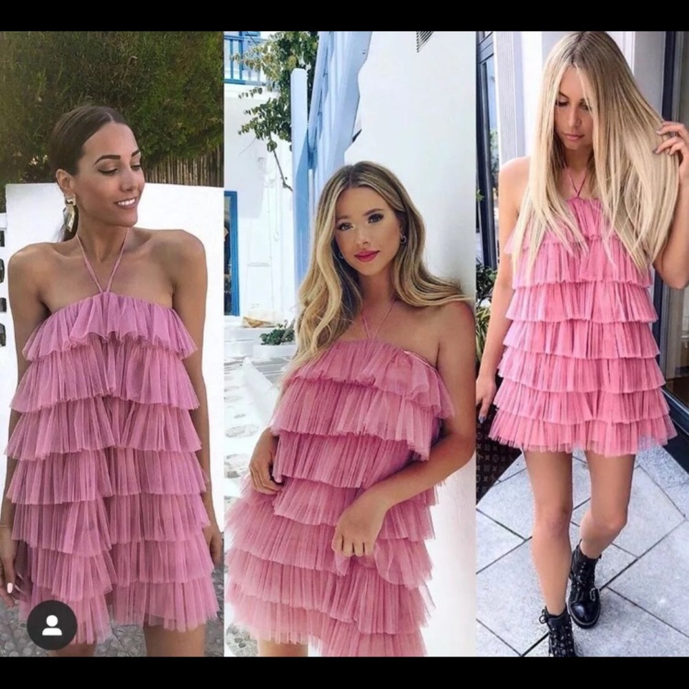 Zara limited edition tulle ruffle mini dress